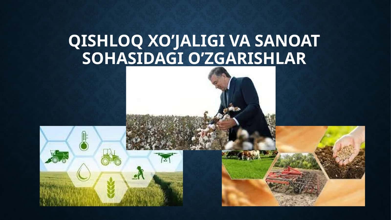 Qishloq xojaligi va sanoat sohasi