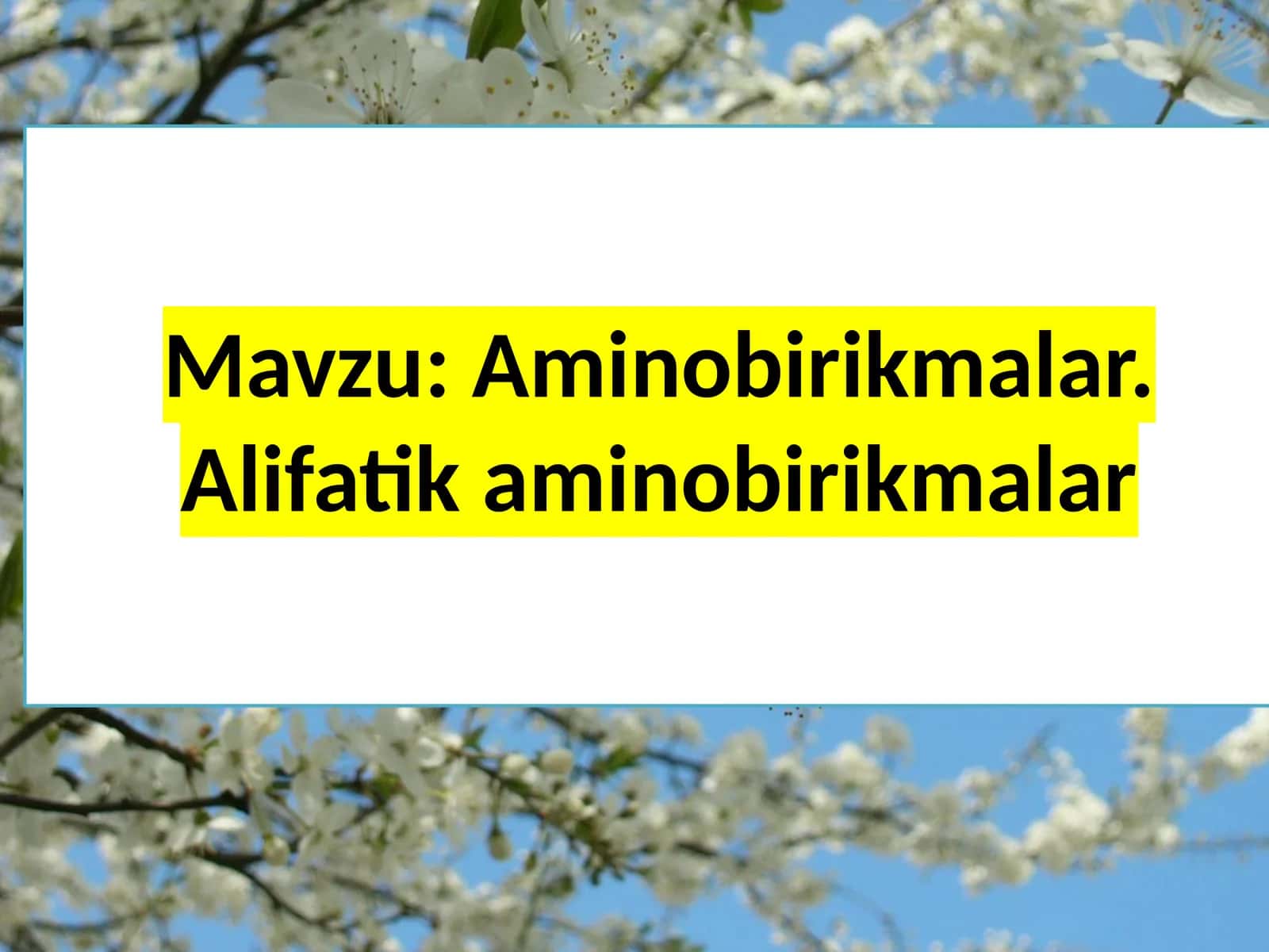 Amino birikmalar. Alifatikamino birikmalar
