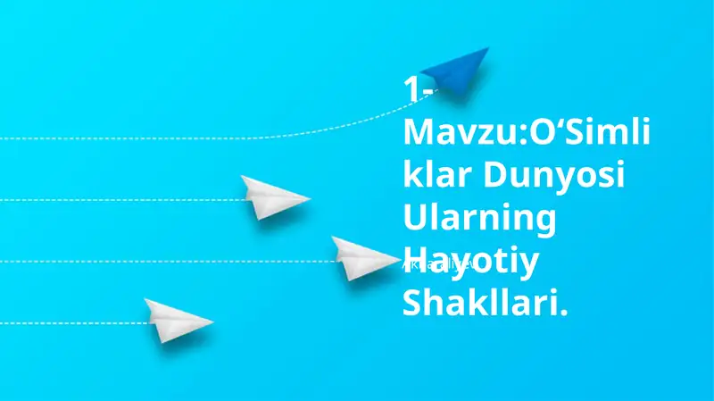O'Simliklar Dunyosi Ularning Hayotiy Shakllari