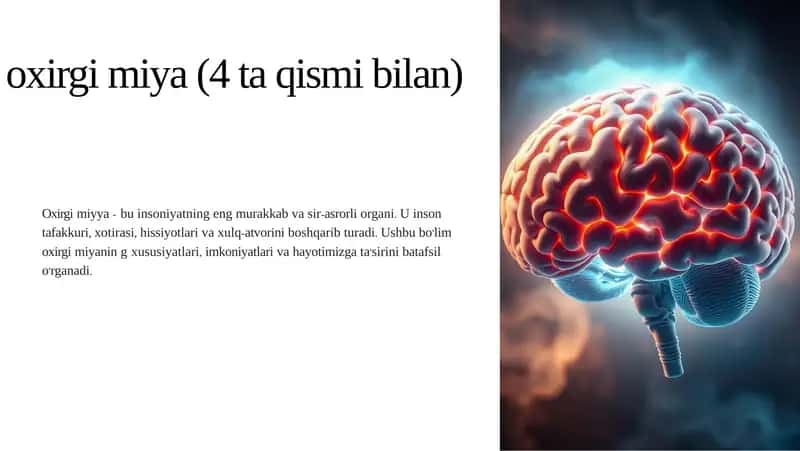 Oxirgi miya (4 ta qismi bilan)