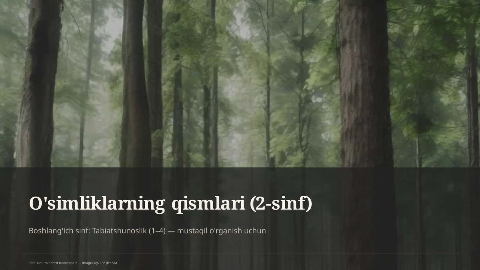 O'simliklarning qismlari (2-sinf)