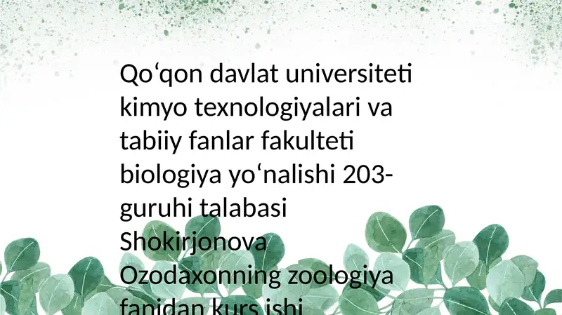 Ikki qanotlilar turkumi: tuzilishi, turtarkibi, tarqalishi, biologik xususiyatlar va ahamiyati