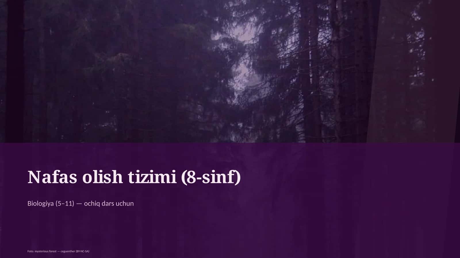Nafas olish tizimi (8-sinf)