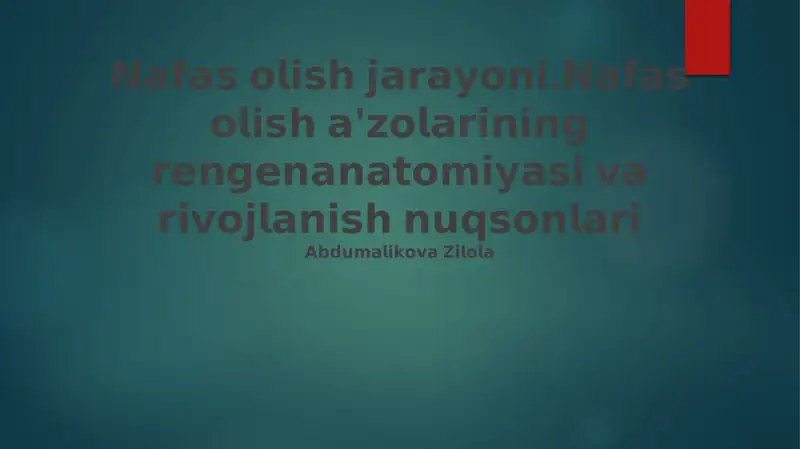 Nafas Olish Jarayonining Fiziologiyasi