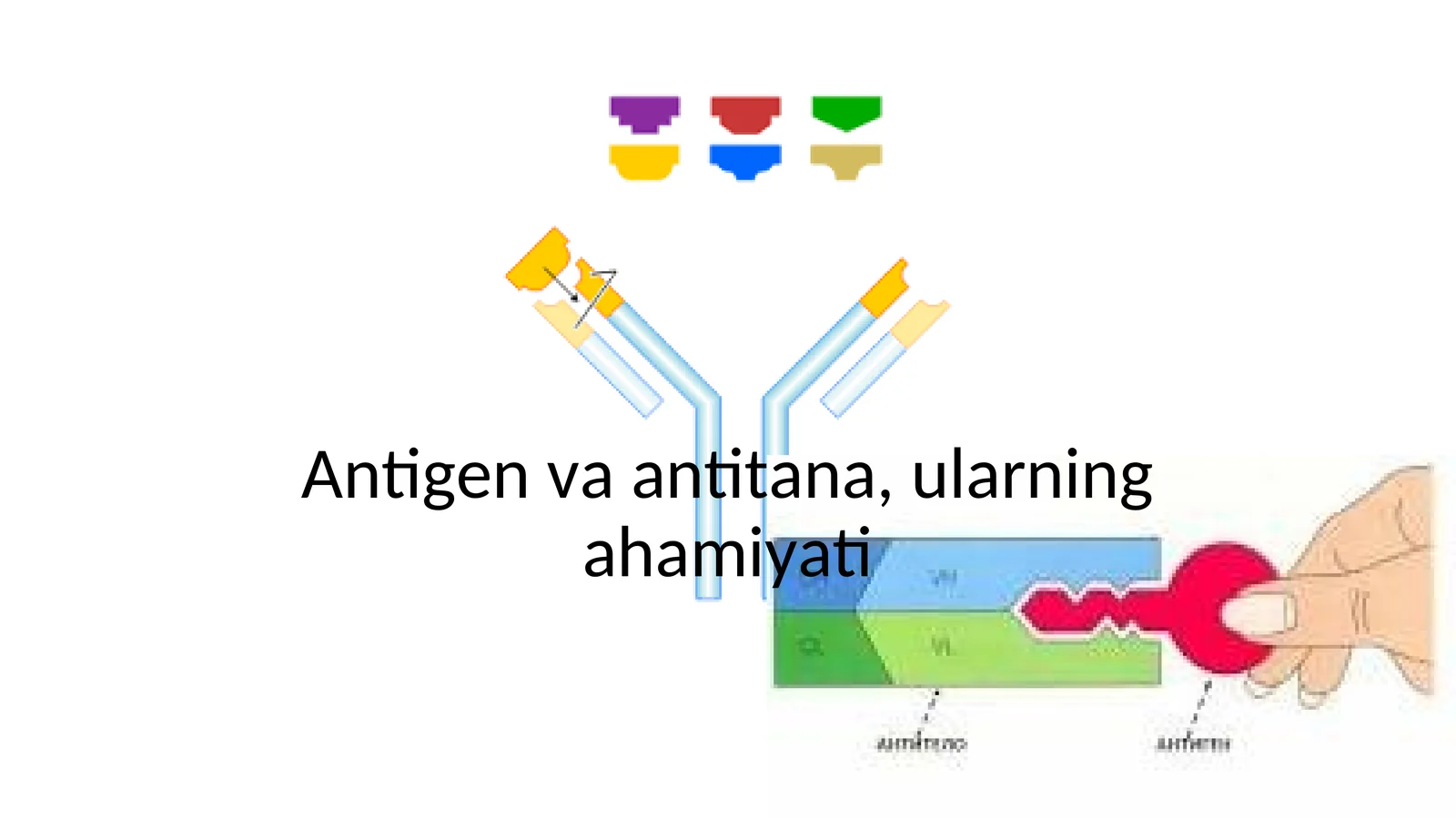 Antigen va antitana, ularning ahamiyati