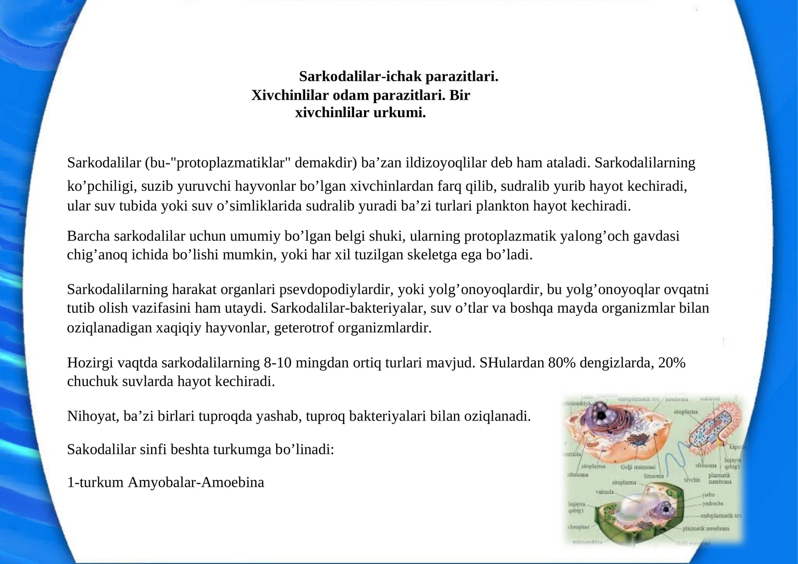 Sarkodalilar-ichakparazitlari