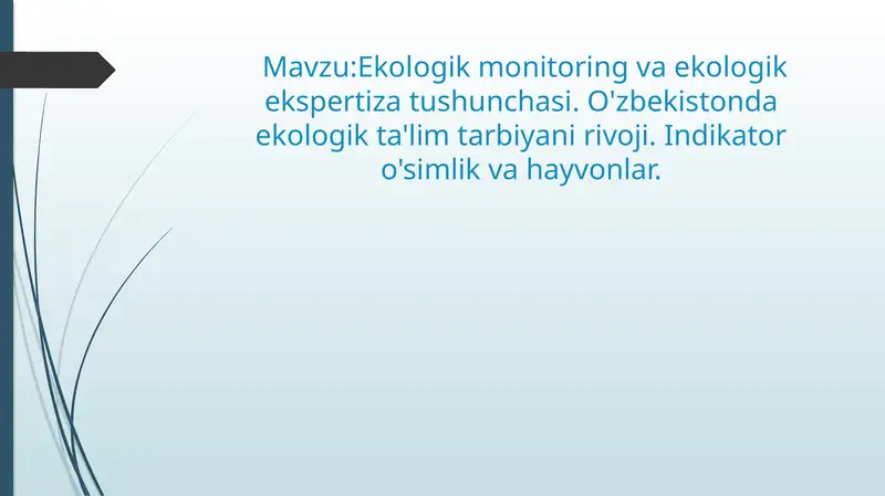 Ekologik Monitoring va Ekologik Ekspertiza