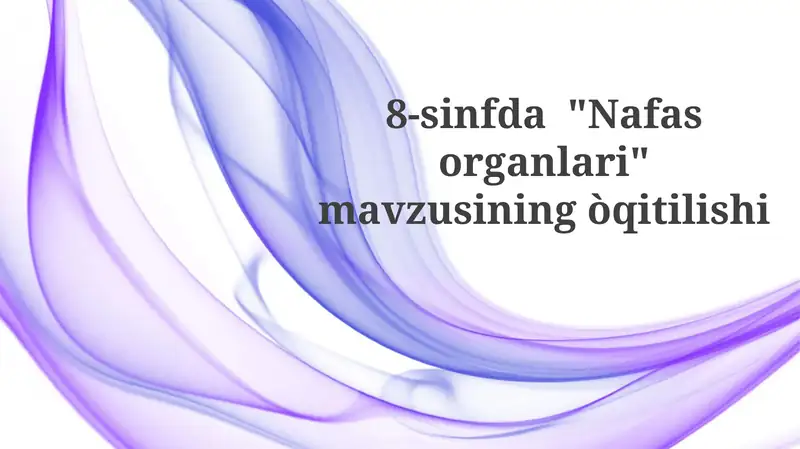 Nafasorganlari