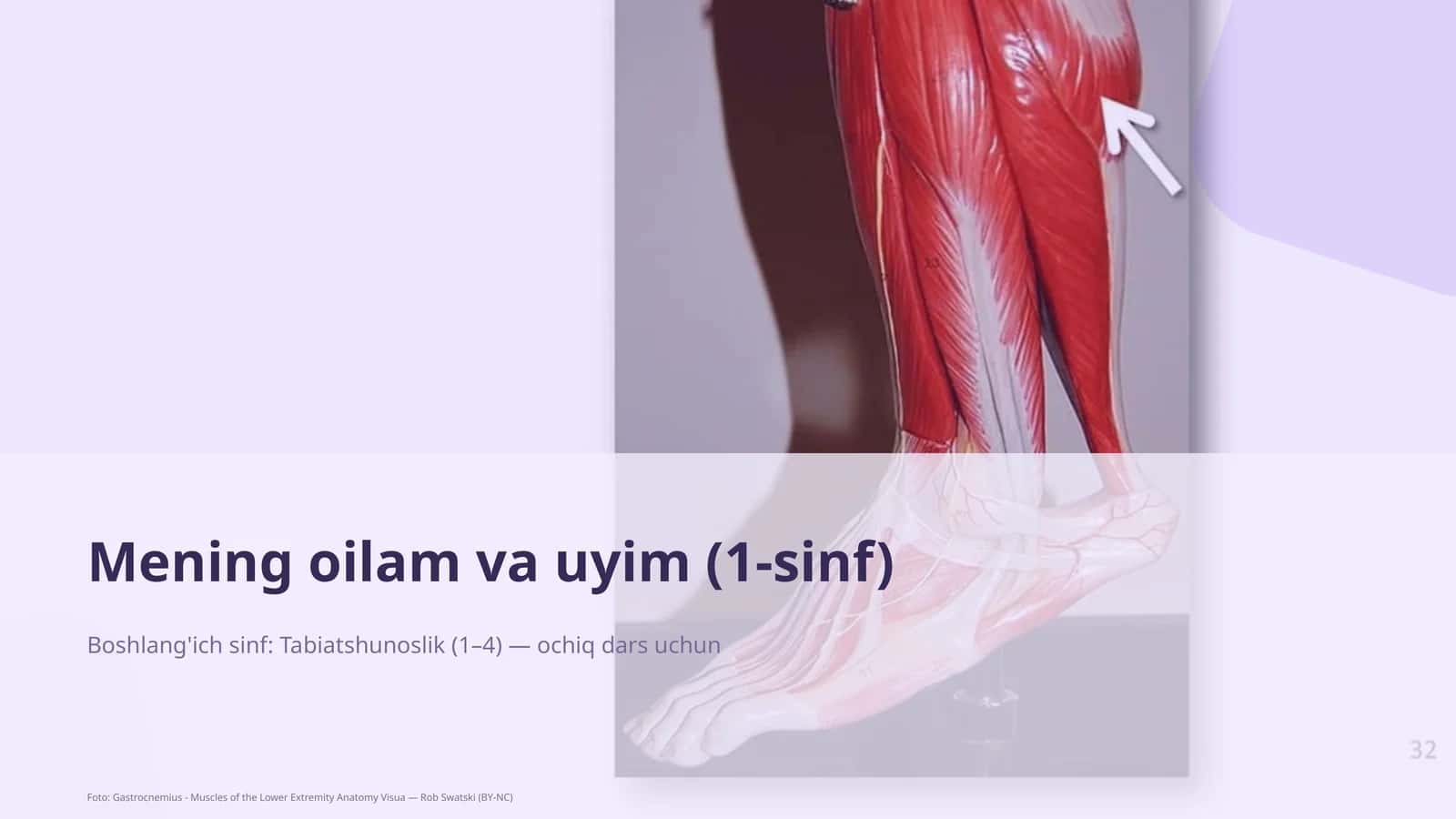 Mening oilam va uyim (1-sinf)