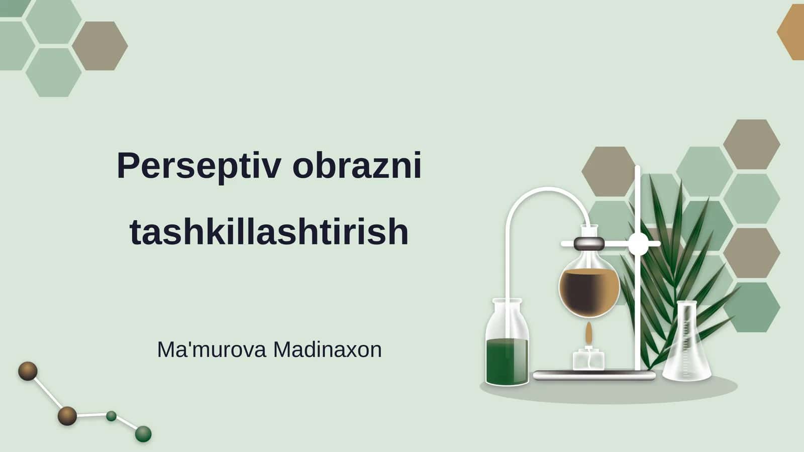 Perseptiv obrazni tashkillashtirish