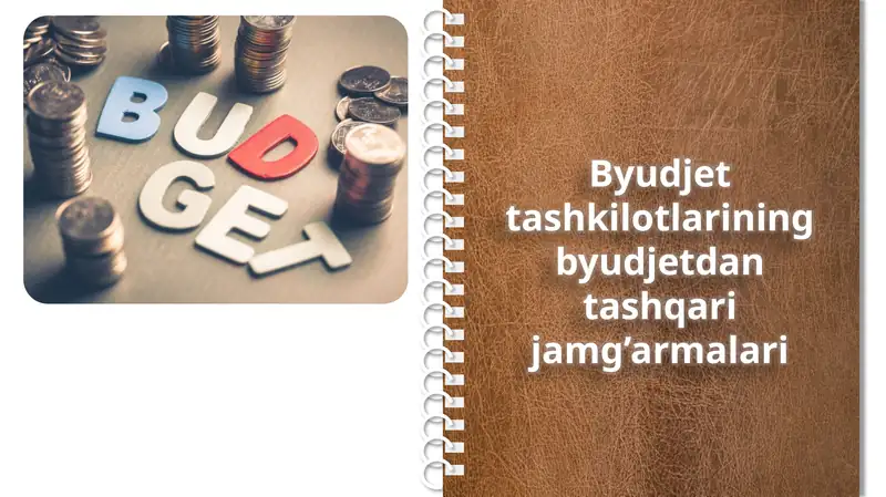 Byudjet tashkilotlarining byudjetdan tashqari jamg’armalari
