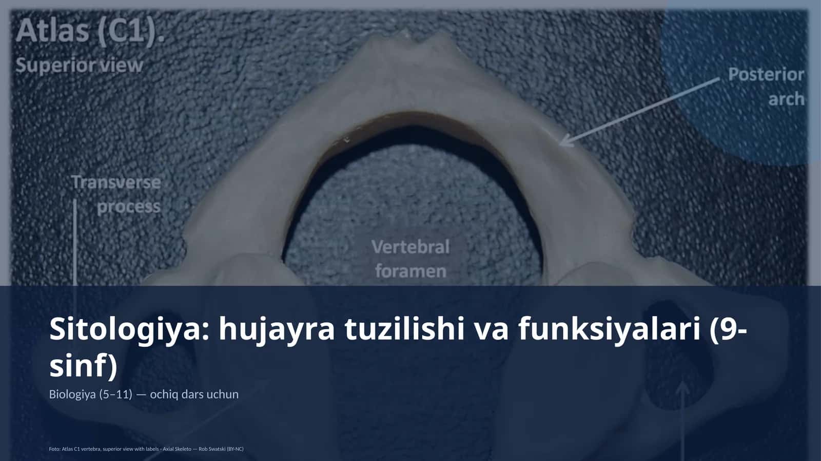 Sitologiya: hujayra tuzilishi va funksiyalari (9-sinf)