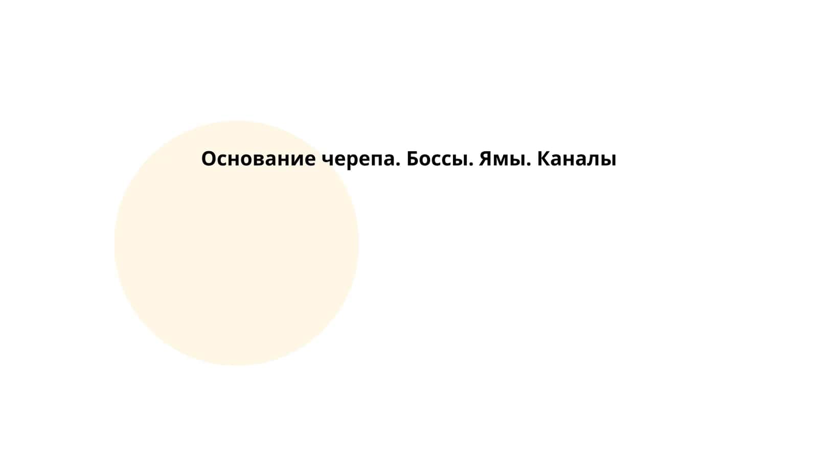Основание черепа