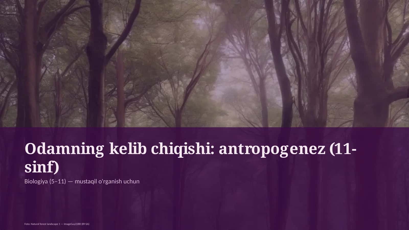 Odamning kelib chiqishi: antropogenez (11-sinf)