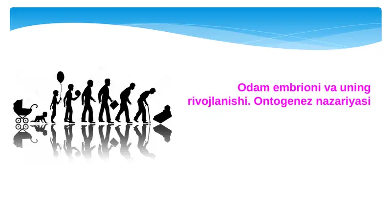 Embriogenez bosqichlari