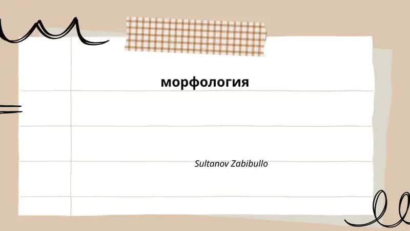 морфология