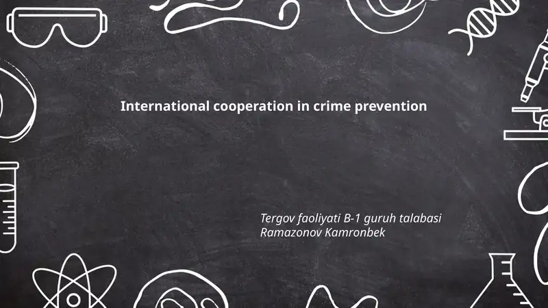 International cooperation in crime prevention