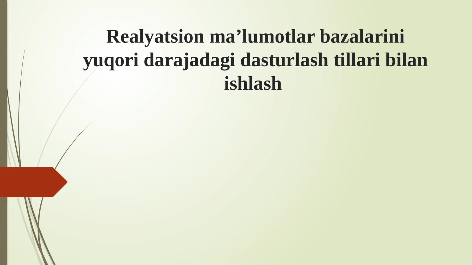 Realyatsion ma’lumotlar bazalarini yuqori darajadagi dasturlash tillari bilan ishlash