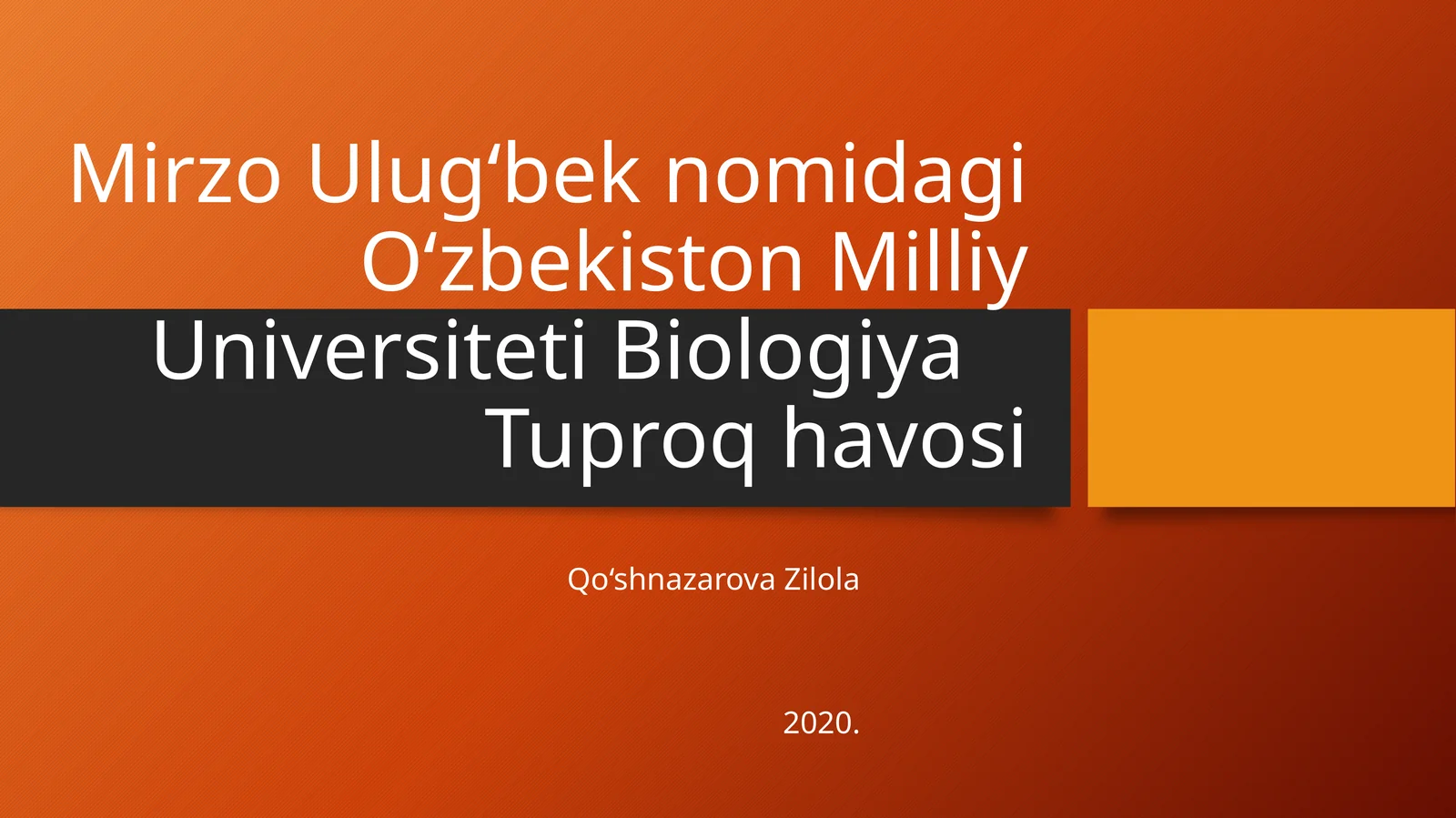 Mirzo Ulug‘bek nomidagi O‘zbekiston Milliy Universiteti, Biologiya Tuproq havosi