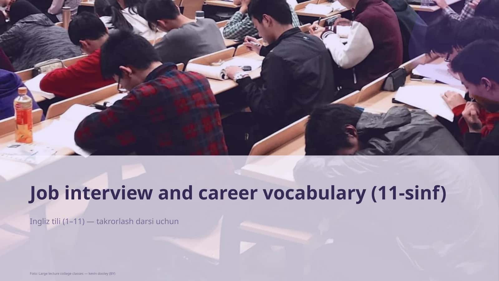 Job interview and career vocabulary (11-sinf) Ingliz tili
