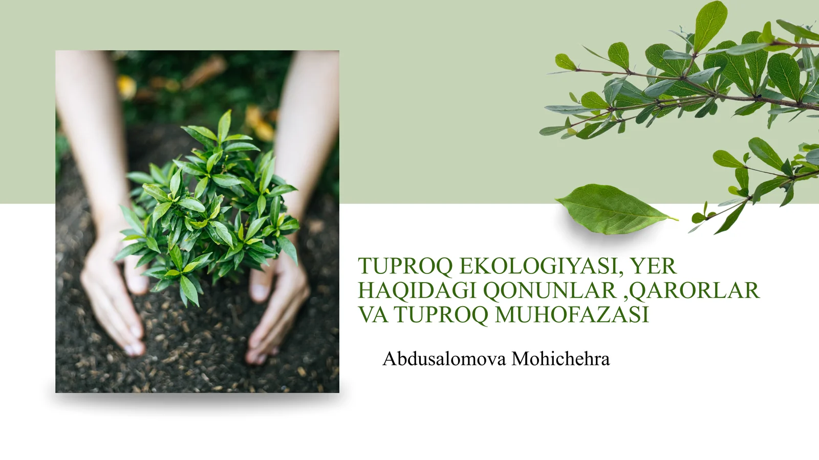 TUPROQ EKOLOGIYASI, YER HAQIDAGI QONUNLAR,QARORLAR VA TUPROQ MUHOFAZASI