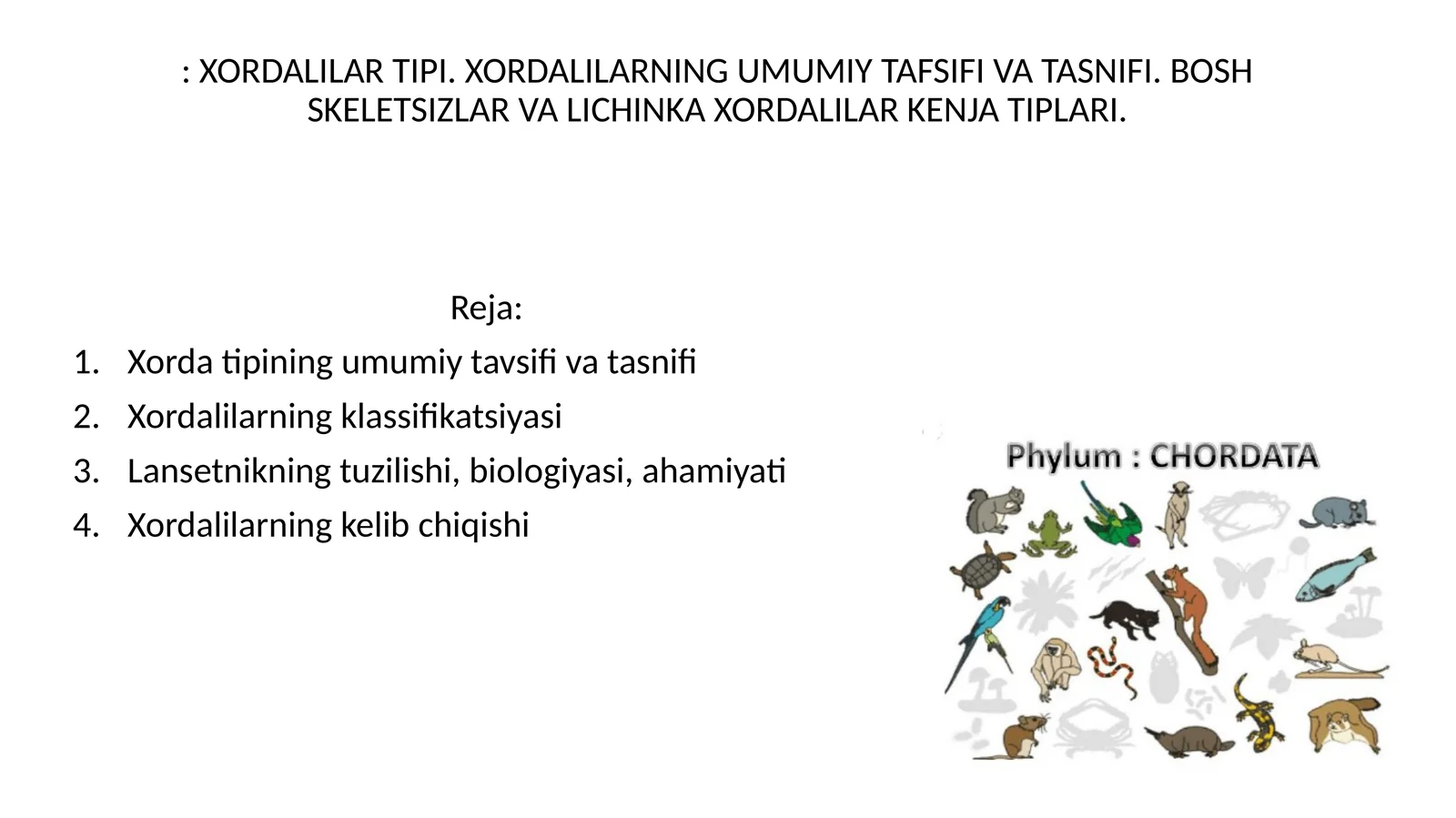 XORDALILAR TIPI