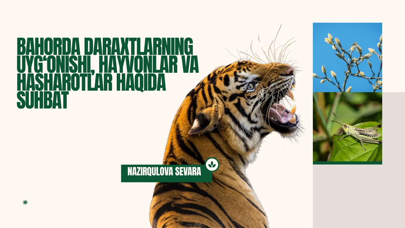 BAHORDA DARAXTLARNING UYG‘ONISHI, HAYVONLAR VA HASHAROTLAR HAQIDA SUHBAT