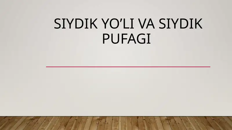 Siydik yo’li va siydik pufagi