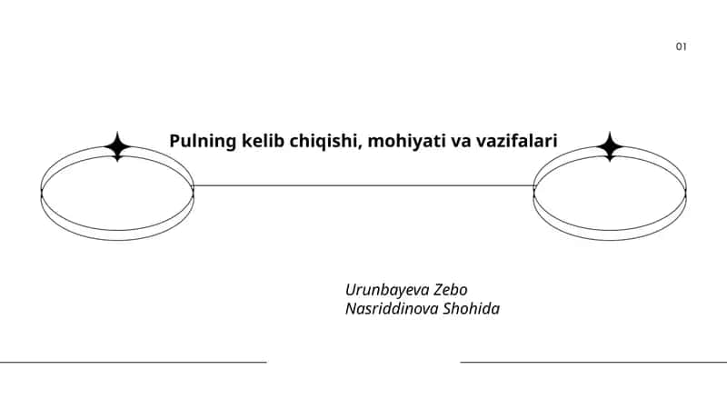 Pulning kelib chiqishi, mohiyati va vazifalari