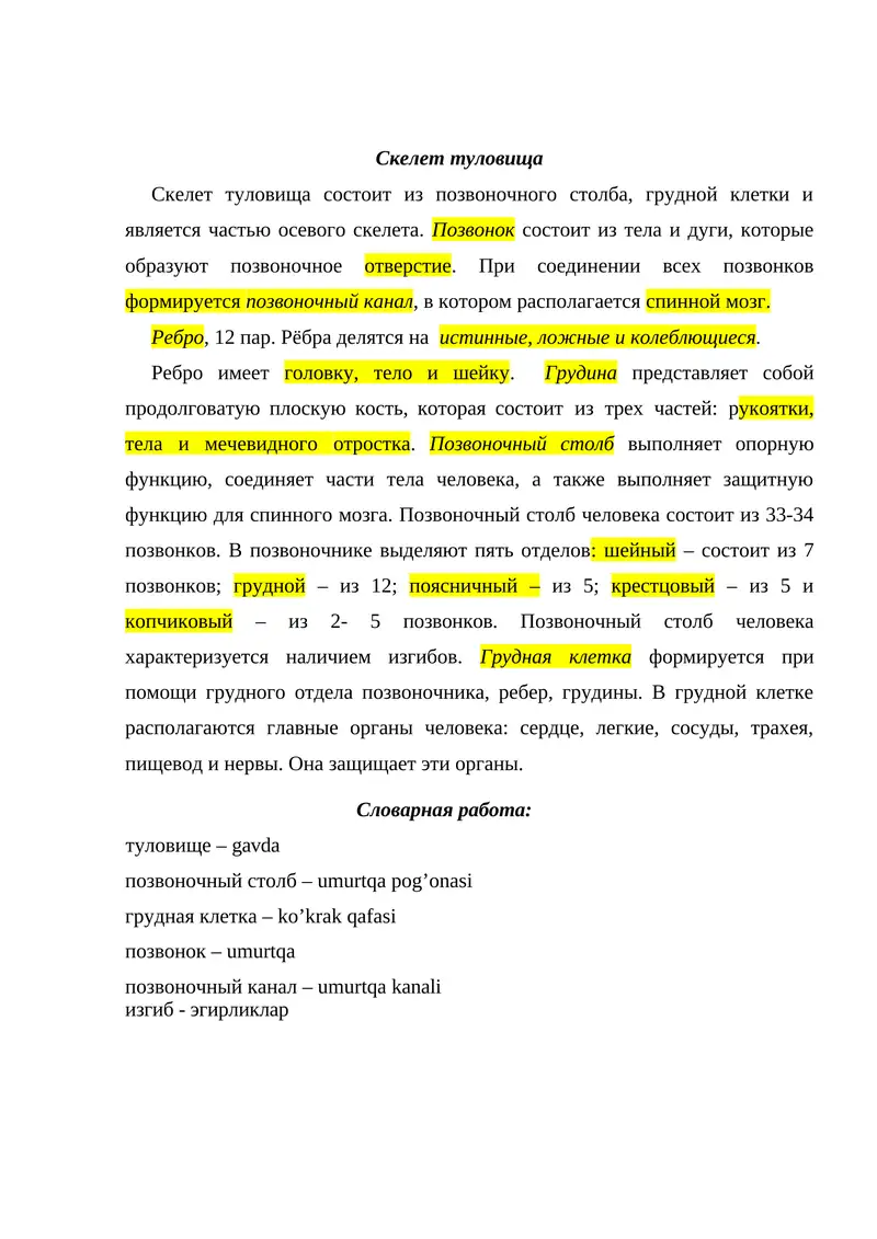Скелет туловища