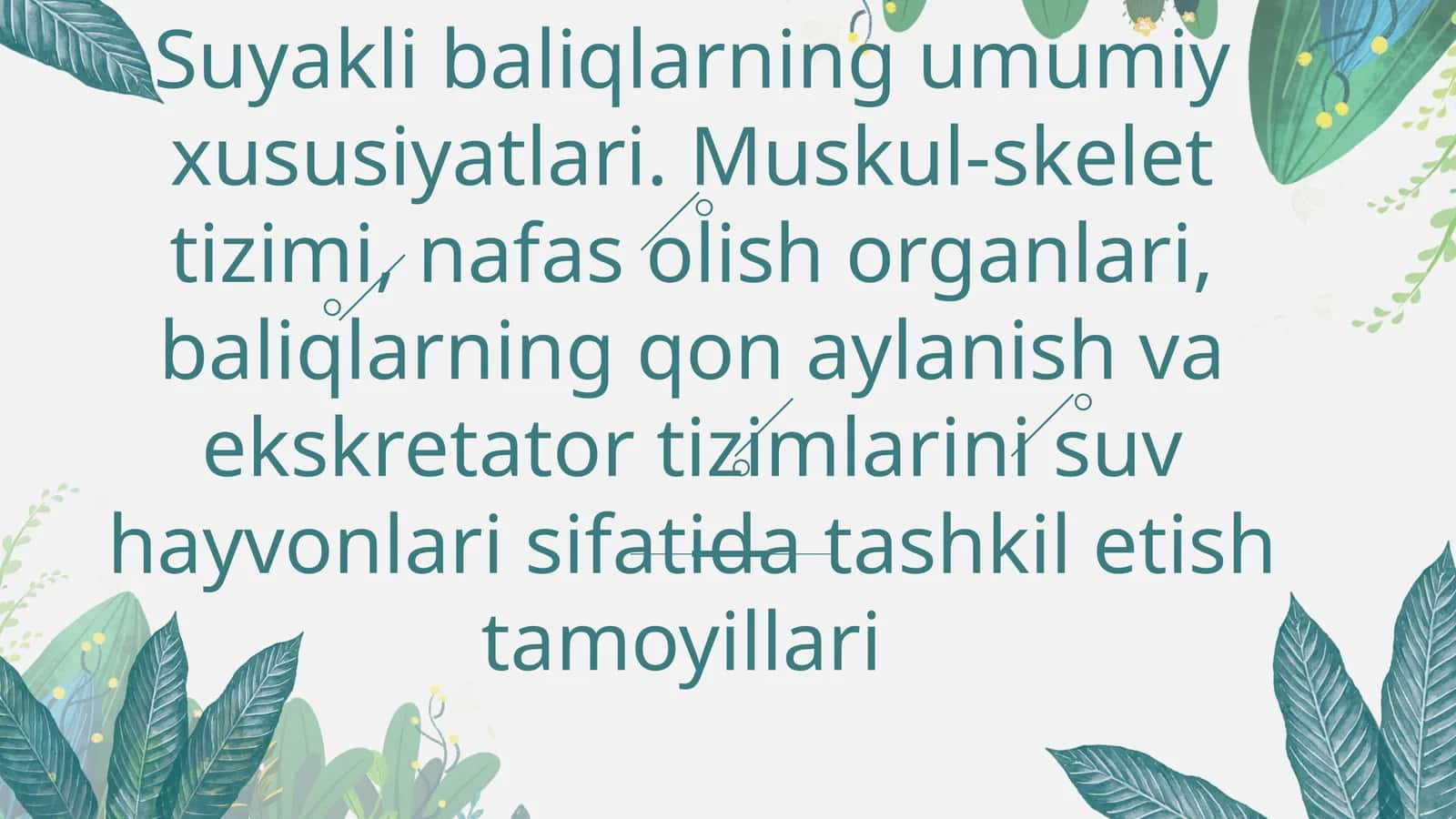 Suyaklibaliqlarning umumiy xususiyatlari