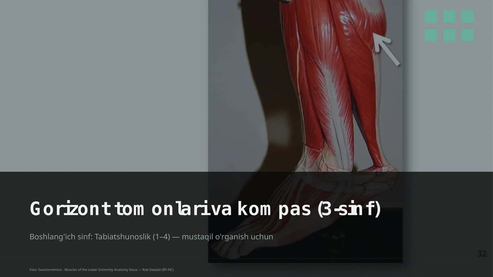 Gorizont tomonlari va kompas (3-sinf)