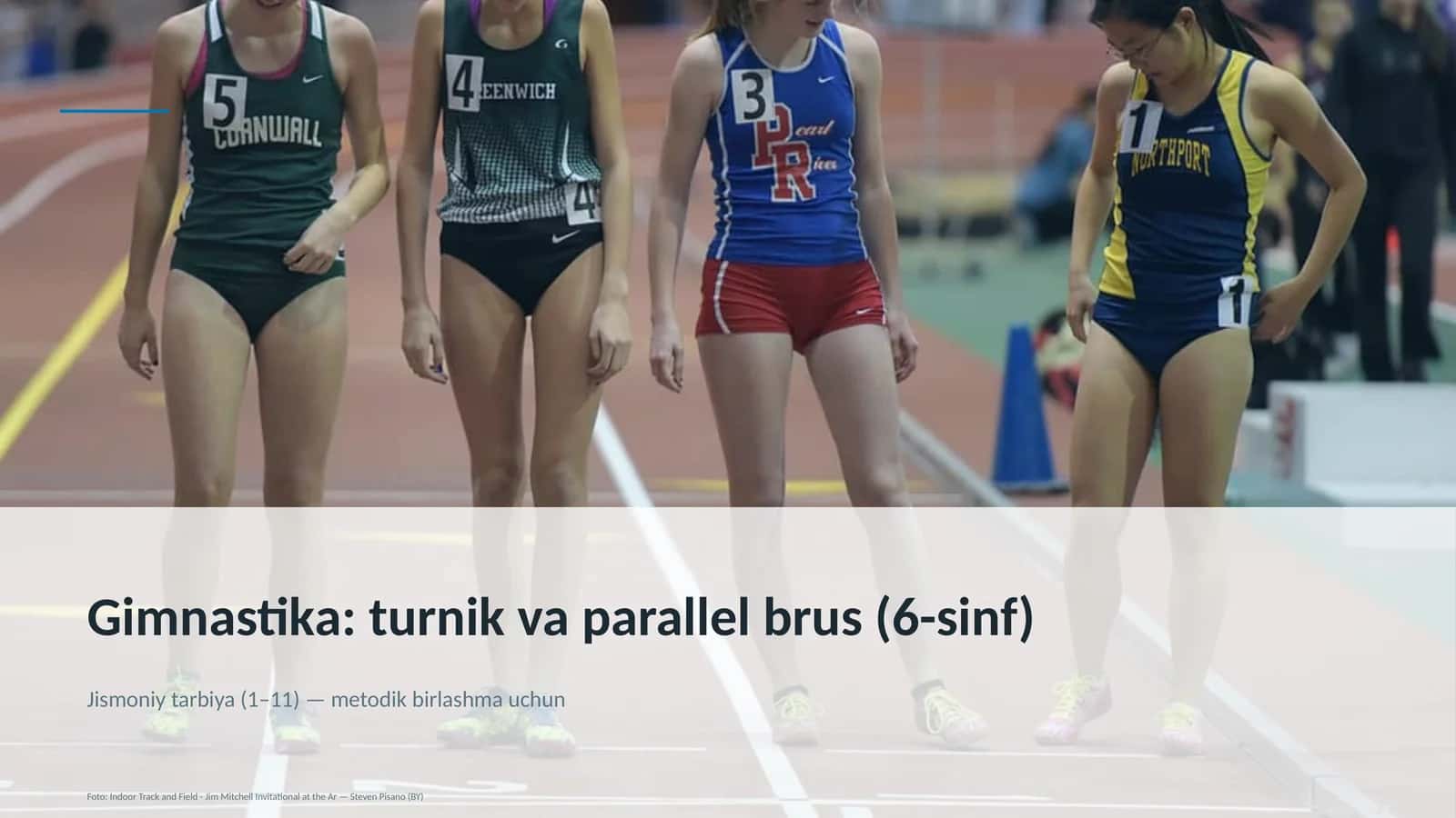 Gimnastika: turnik va parallel brus (6-sinf)