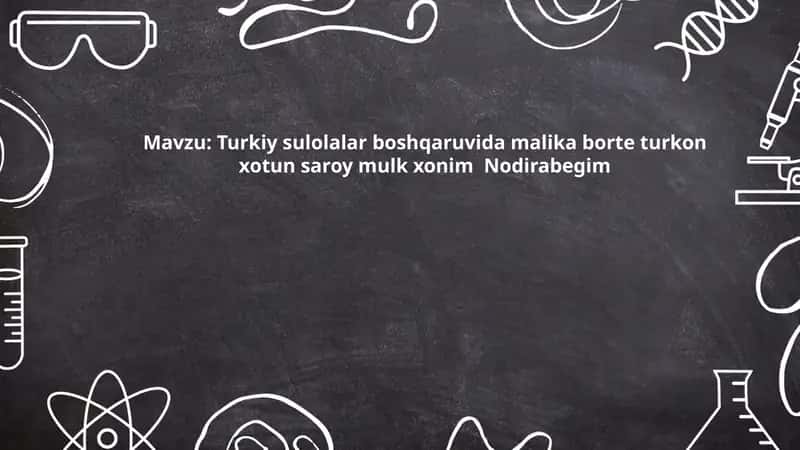Turkiy sulolalar boshqaruvida malika borte turkon xotun saroy mulk xonim  Nodirabegim