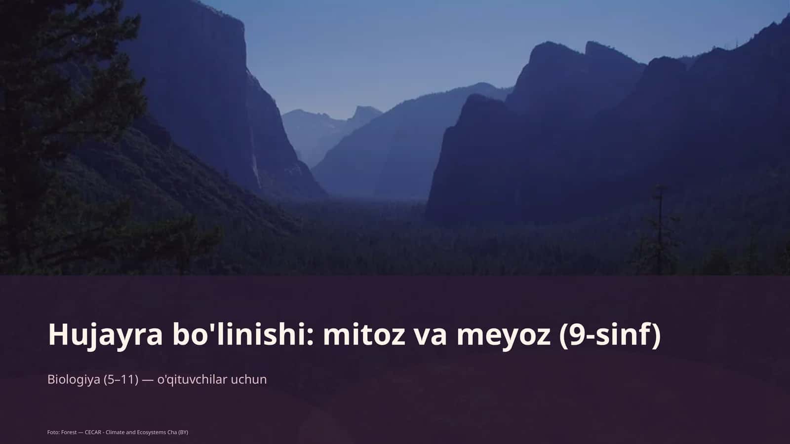 Hujayra bo'linishi: mitoz va meyoz (9-sinf)
