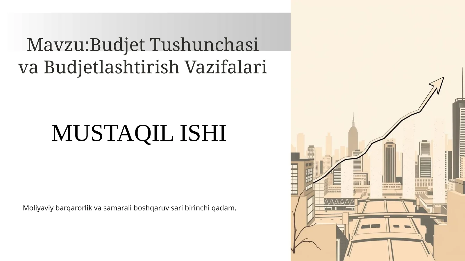 Budjet Tushunchasi va Budjetlashtirish Vazifalari