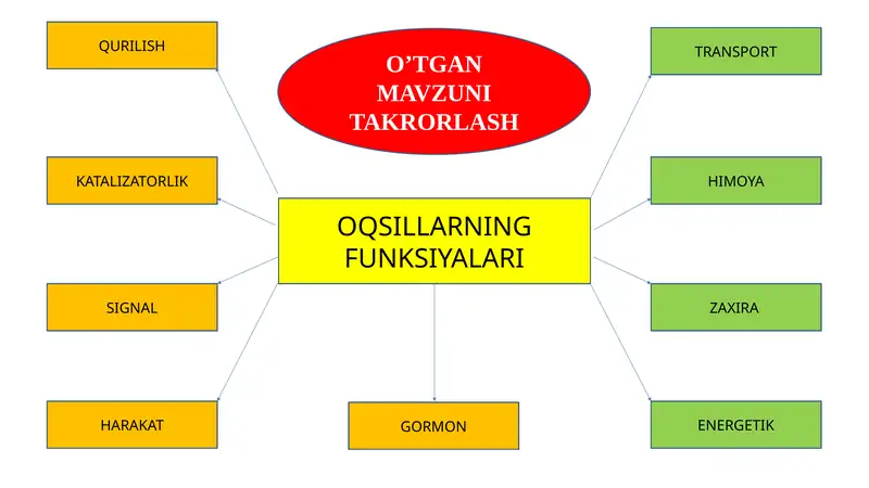 Nuklein kislotalar DNK va RNK (ATF)