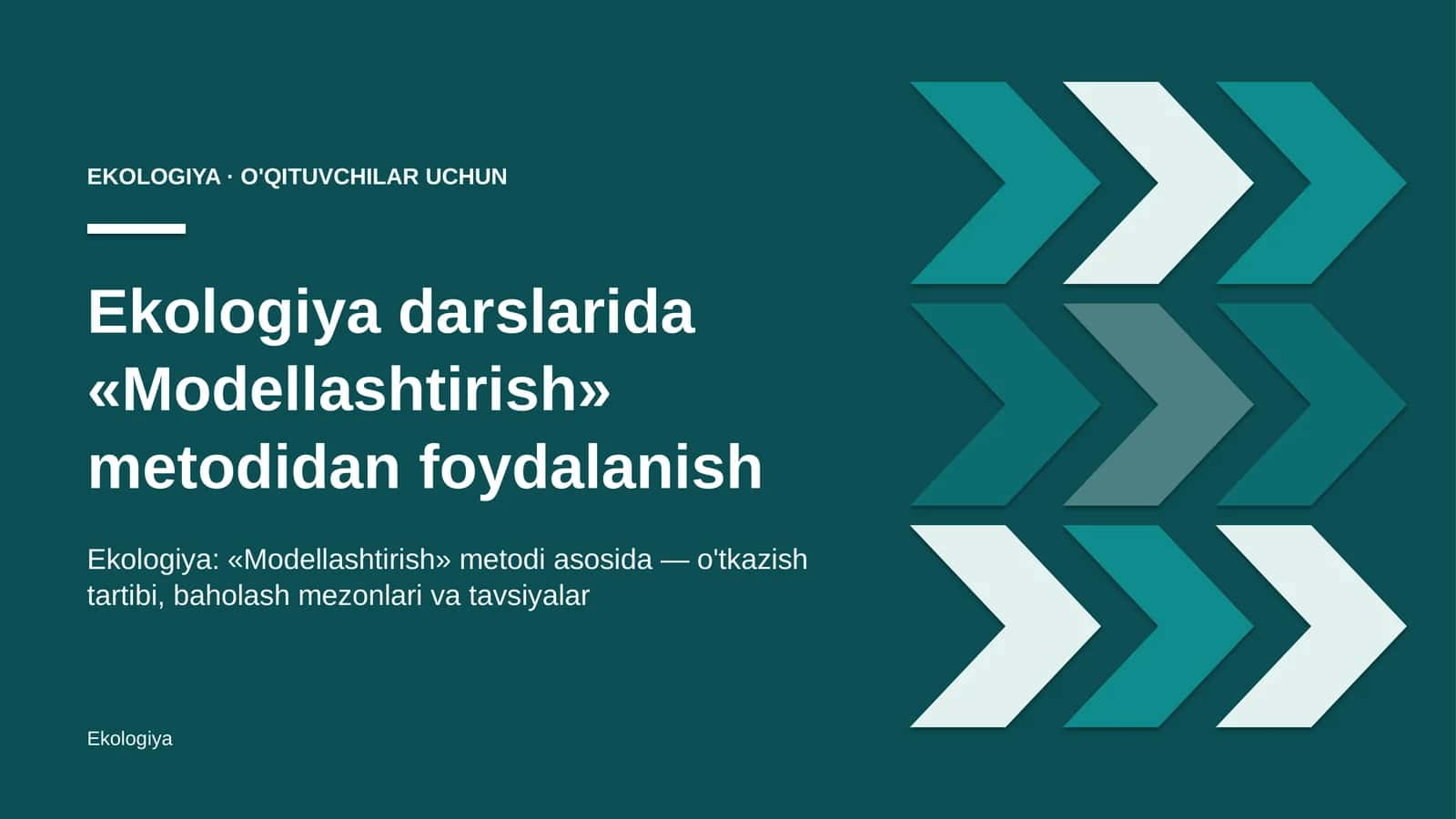 ekologiya darslarida modellashtirish metodidan foydalanish 7526