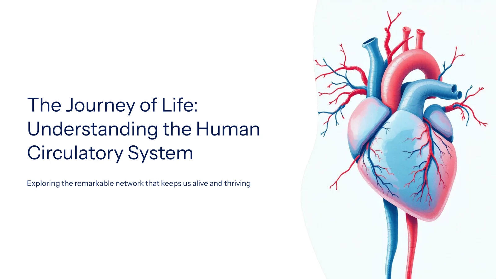 The Journey of Life: Understanding the Human Circulatory System