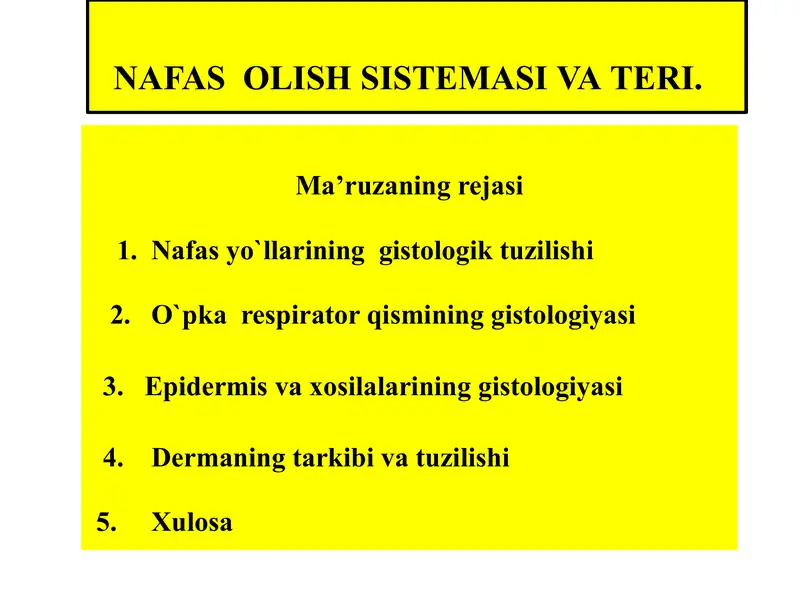 NAFAS OLISH SISTEMASI VA ТERI.
