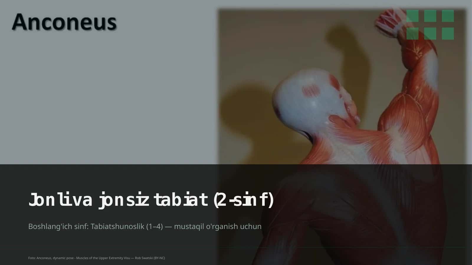 Jonli va jonsiz tabiat (2-sinf)