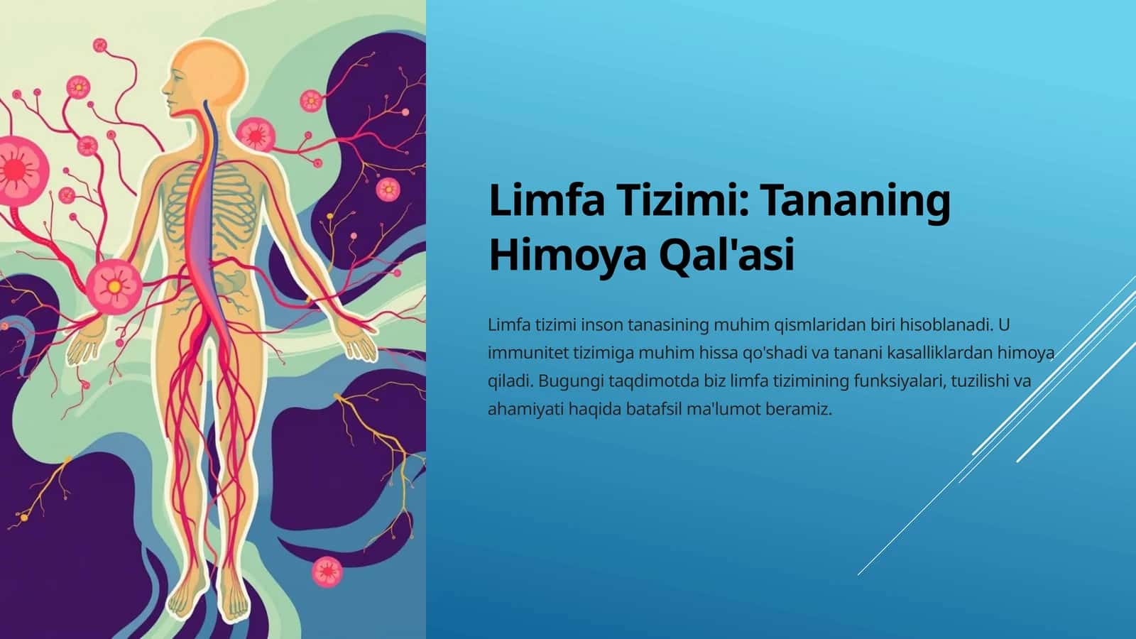 Limfa Tizimi Tananing Himoya Qal'asi
