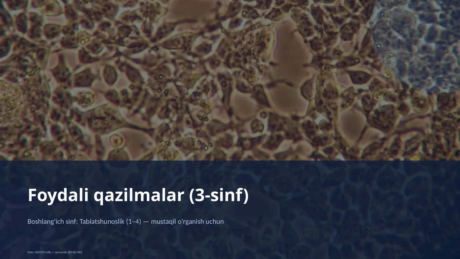 Foydali qazilmalar (3-sinf)