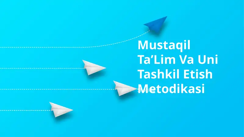 Mustaqil TaʼLim Va Uni Tashkil Etish Metodikasi
