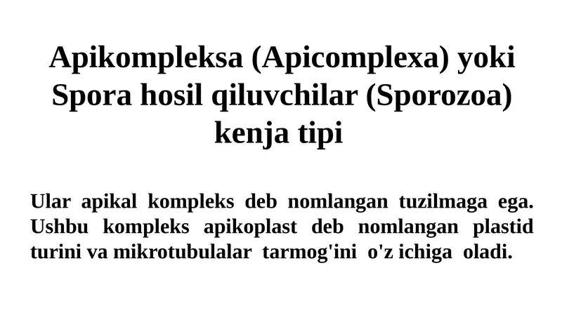 Apikompleksa (Apicomplexa) yoki Spora hosil qiluvchilar (Sporozoa)