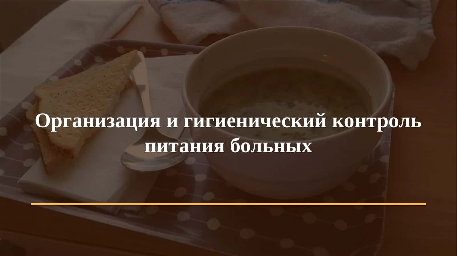 Организация и гигиенический контроль питания больных
