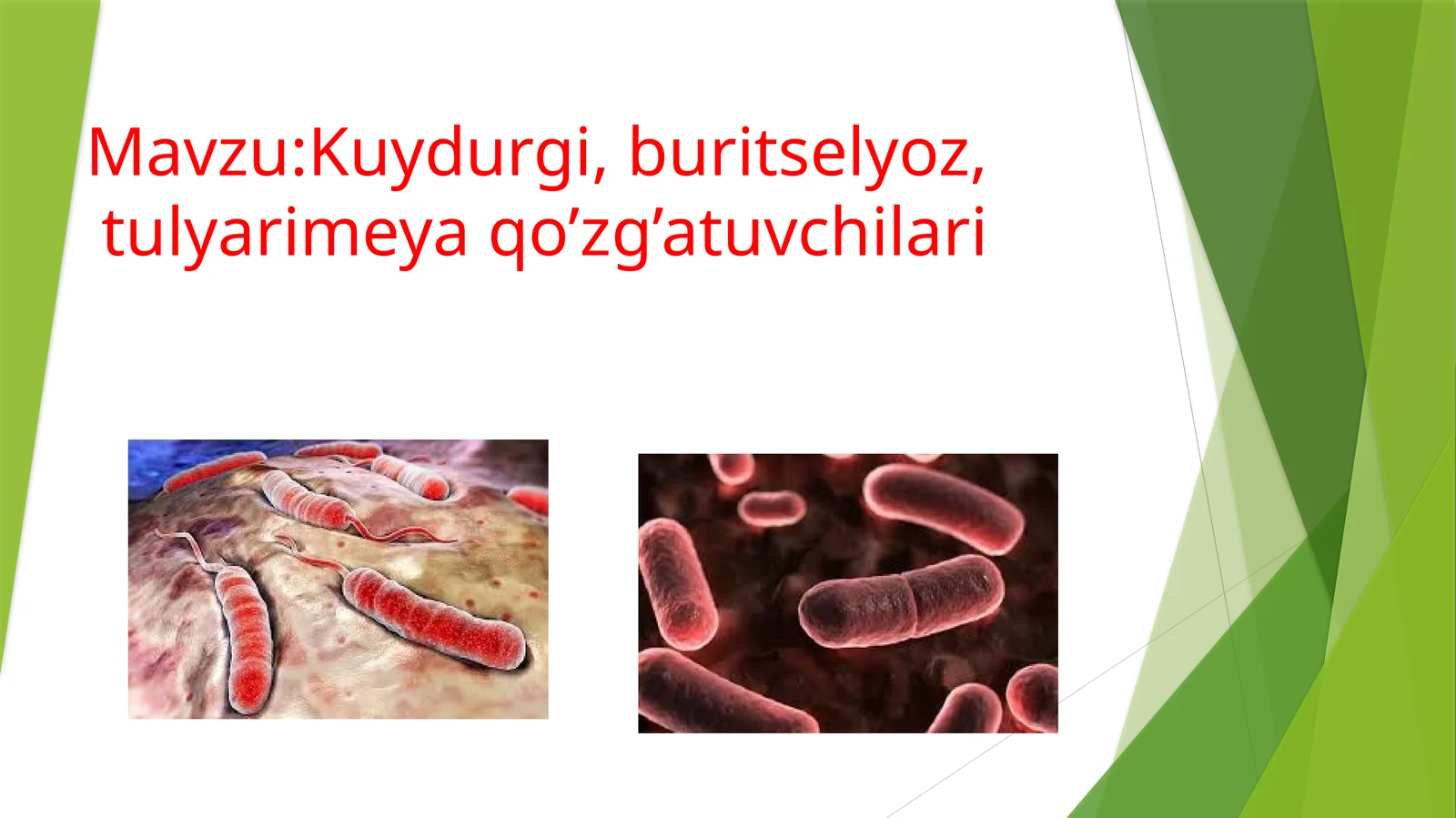 Kuydurgi, buritselyoz, tulyarimeya qo’zg’atuvchilari