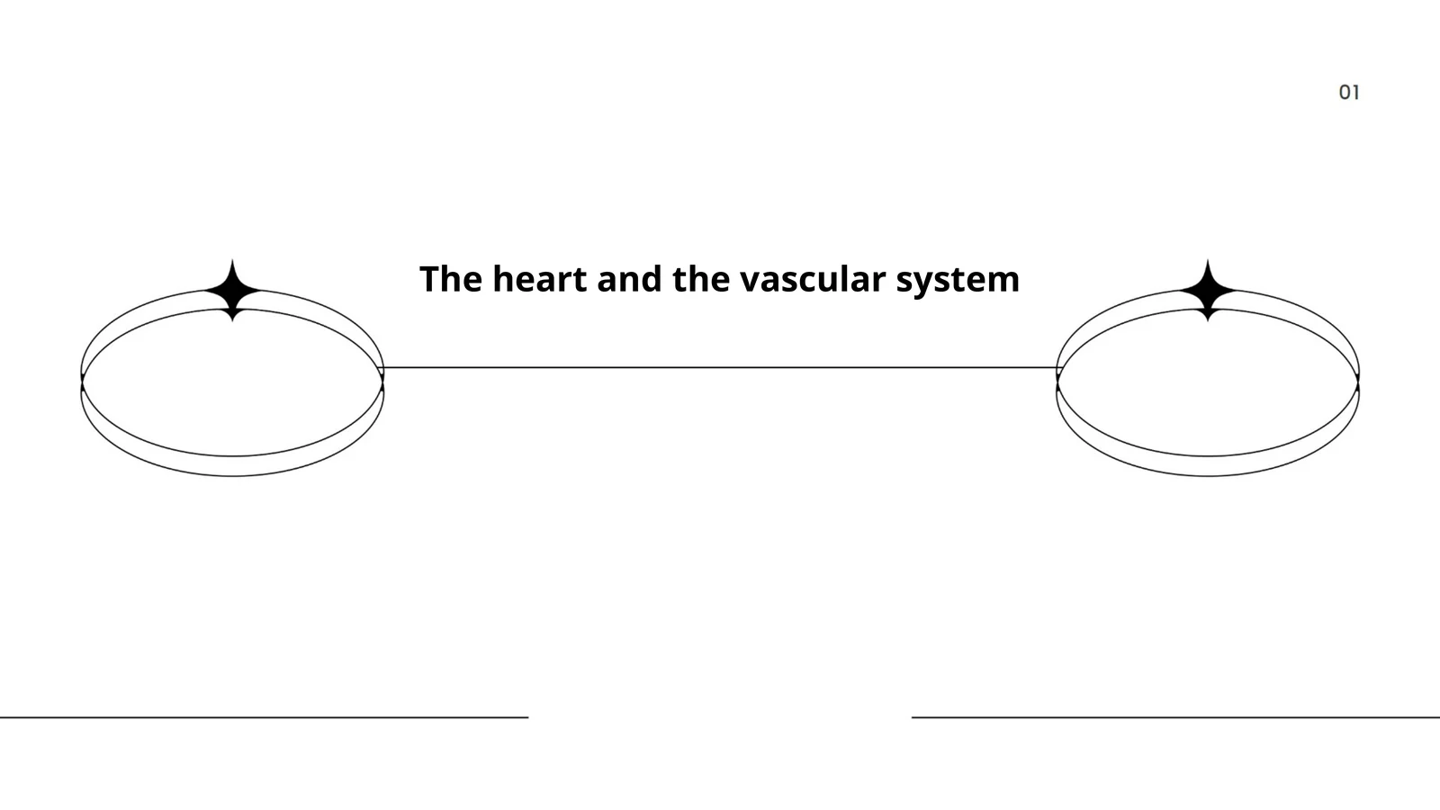 The heart and the vascular system