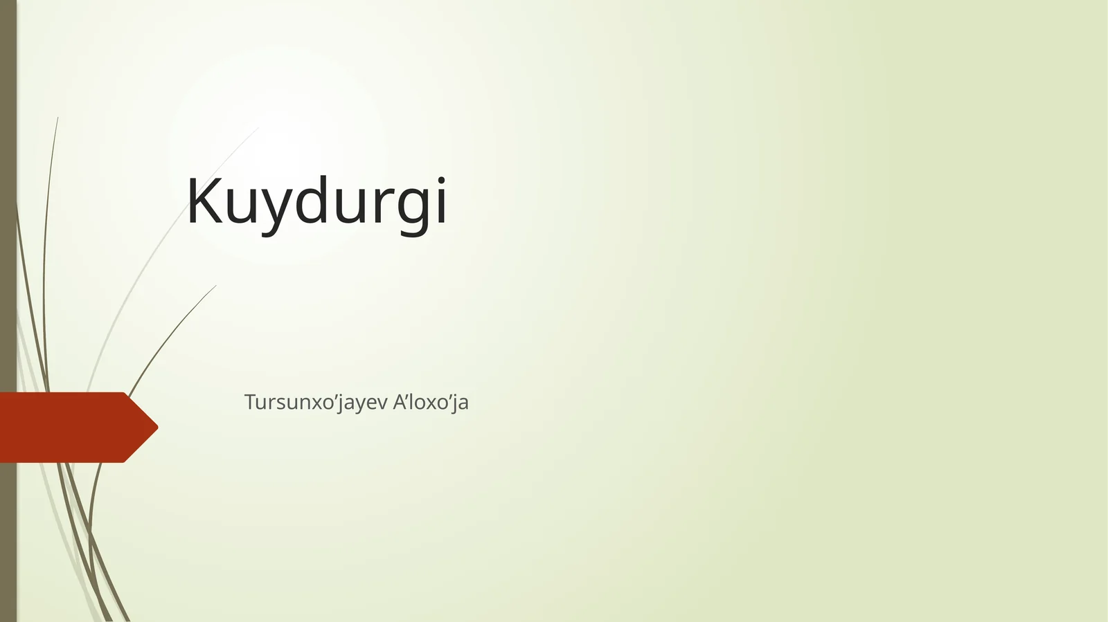 Kuydurgi