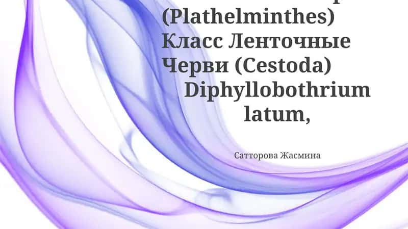 Diphyllobothrium latum